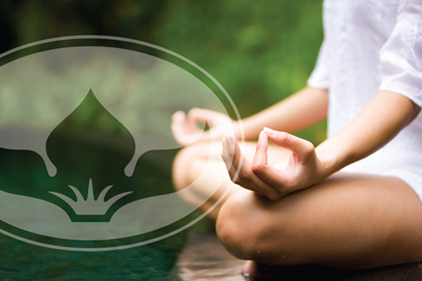Spa Theology