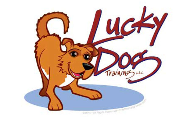 Lucky Dog Training Asheville 
