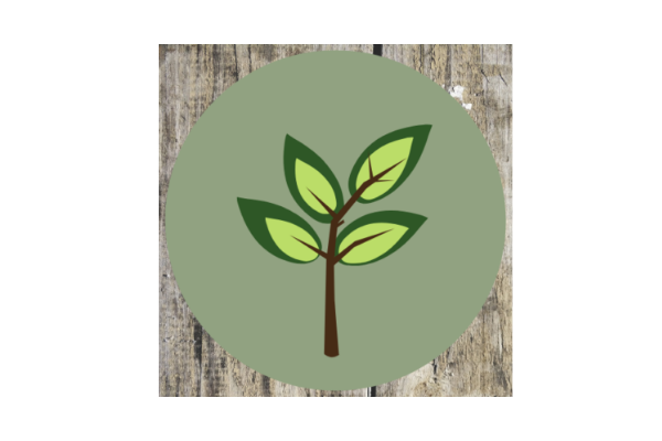 Bamboo Corporate Wellness