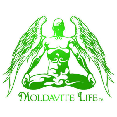 Moldavite Life, LLC 