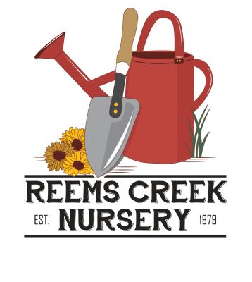 Reems Creek Nursery 